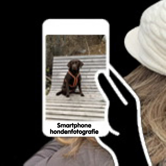 Smartphone hondenfotografie 2024